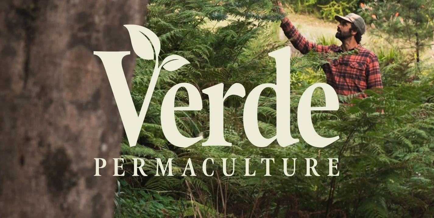 Verde Permaculture landscape, Byron Bay